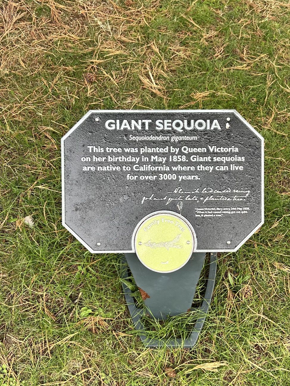 The royals often planted trees in recognition of birthdays